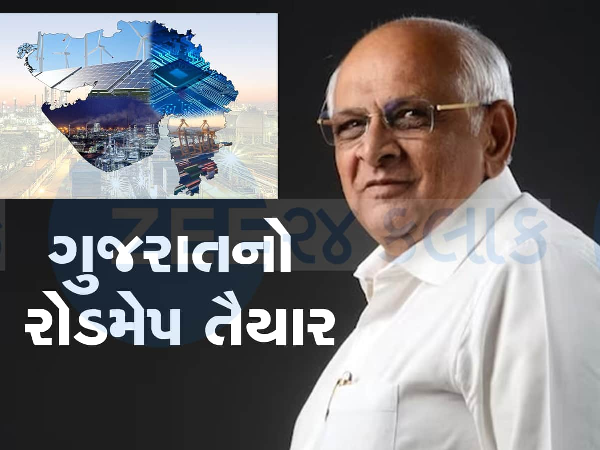 2047 માં ગુજરાત કેવું હશે, દાદાની સરકારે આખા પ્લાન સાથે દિલ્હીમાં રજૂ કર્યો રોડમેપ 