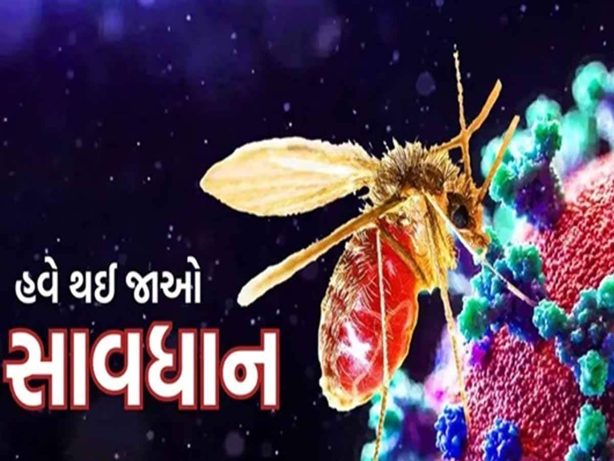 ચાંદીપુરા વાયરસને લઈને ગુજરાતીઓ સાવધાન! કોરોનાની જેમ ચિંતા વધારી, પૂનાની ટીમના ધામા