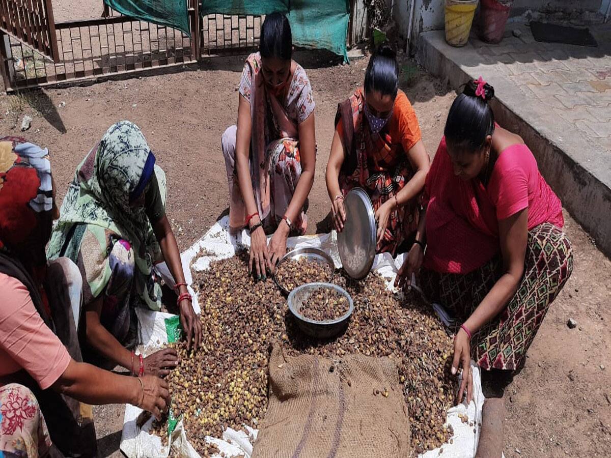 શહેરની મહિલા કરતા વધુ કમાય છે ગુજરાતના ગામડાની મહિલા, બની આત્મનિર્ભર