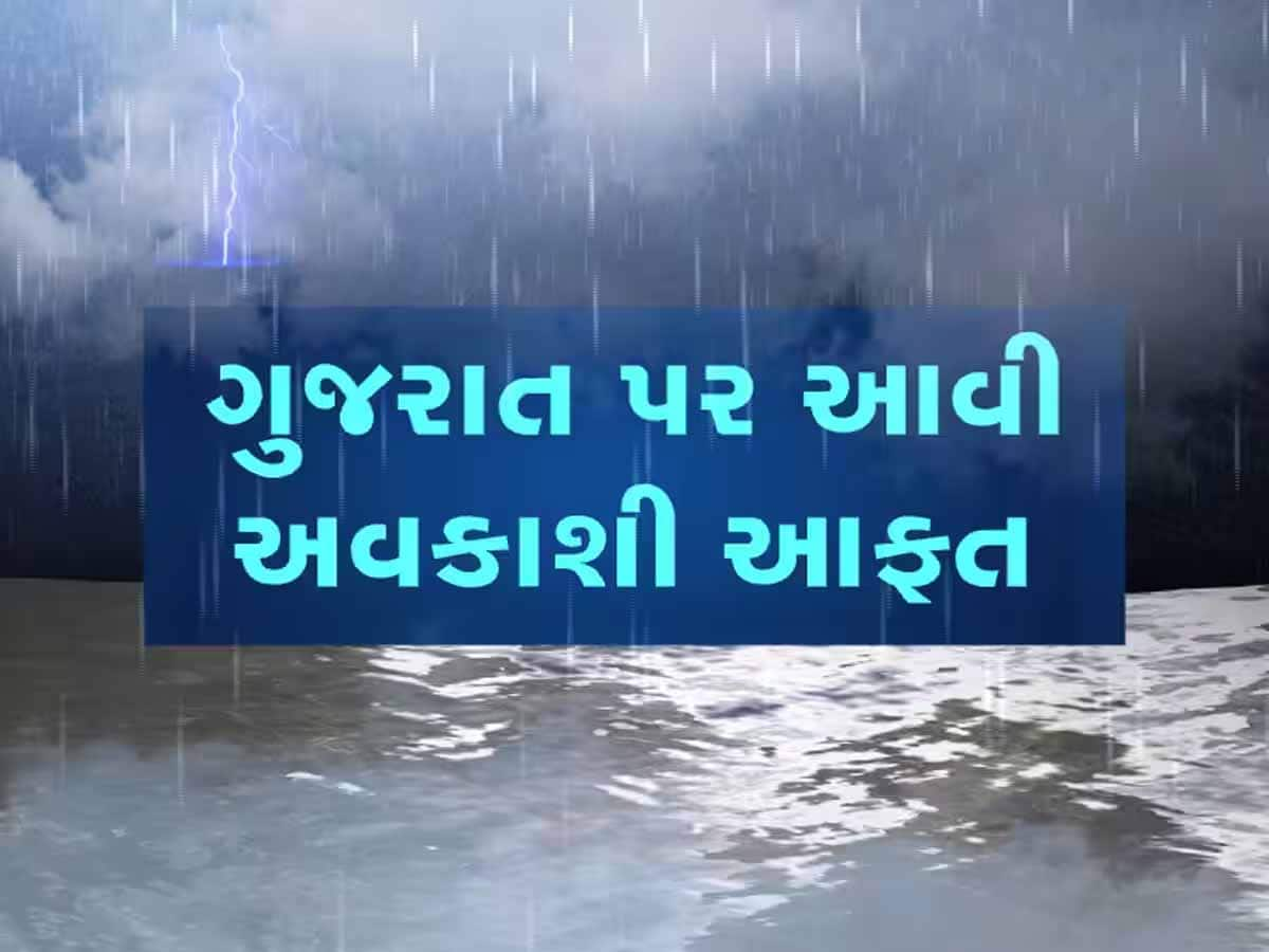 સમગ્ર ગુજરાતમાં આકાશી આફત! બીજા રાઉન્ડમાં મેઘરાજાએ ગુજરાતના કયા જિલ્લાઓને ઘમરોળ્યા?