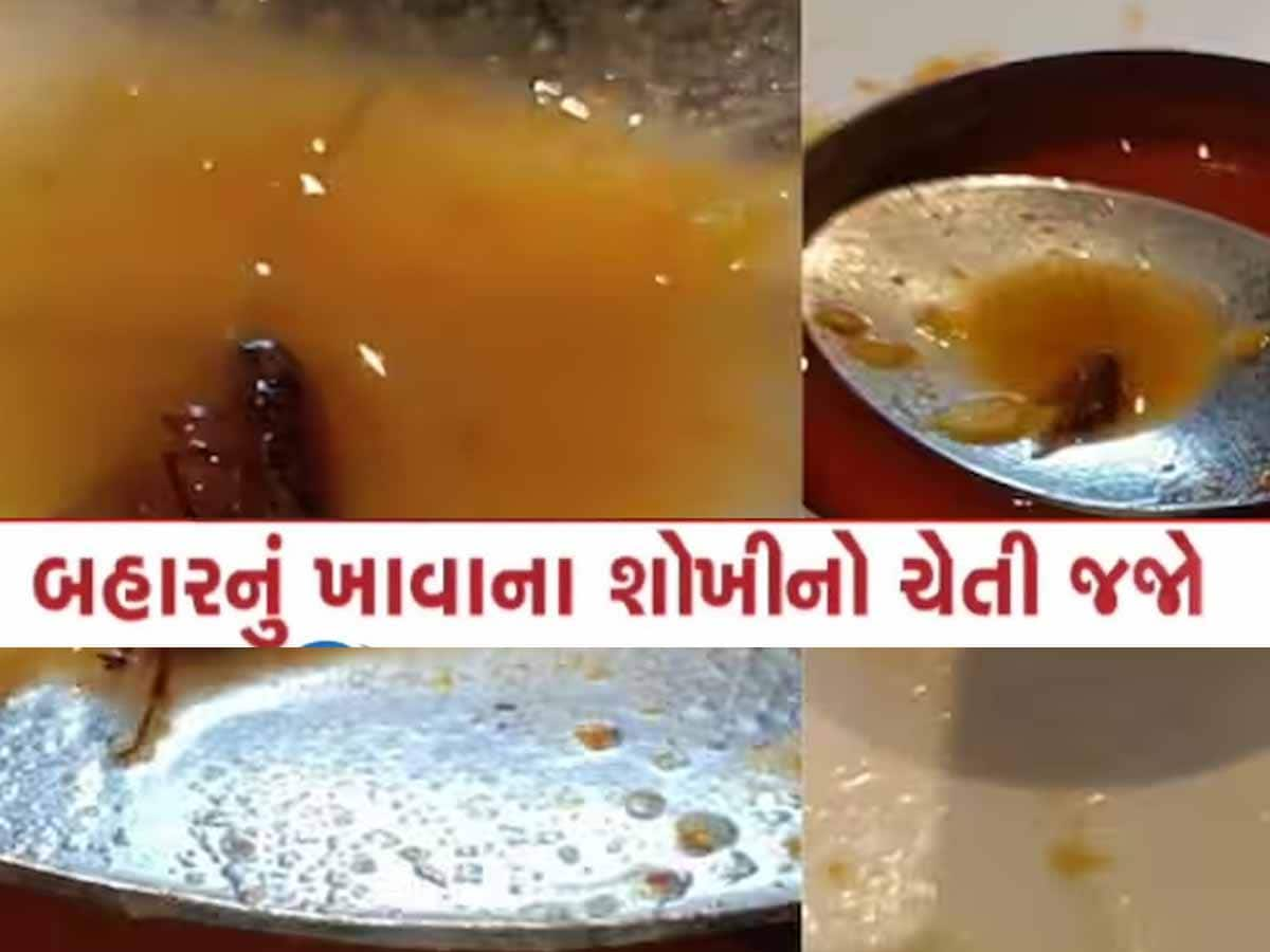 VIDEO: અમદાવાદની ખ્યાતનામ હોટલના સાંભારમાંથી નીકળ્યો વંદો; 5 સ્ટાર હોટલની વાનગી ખાતા પહેલા સાવધાન!