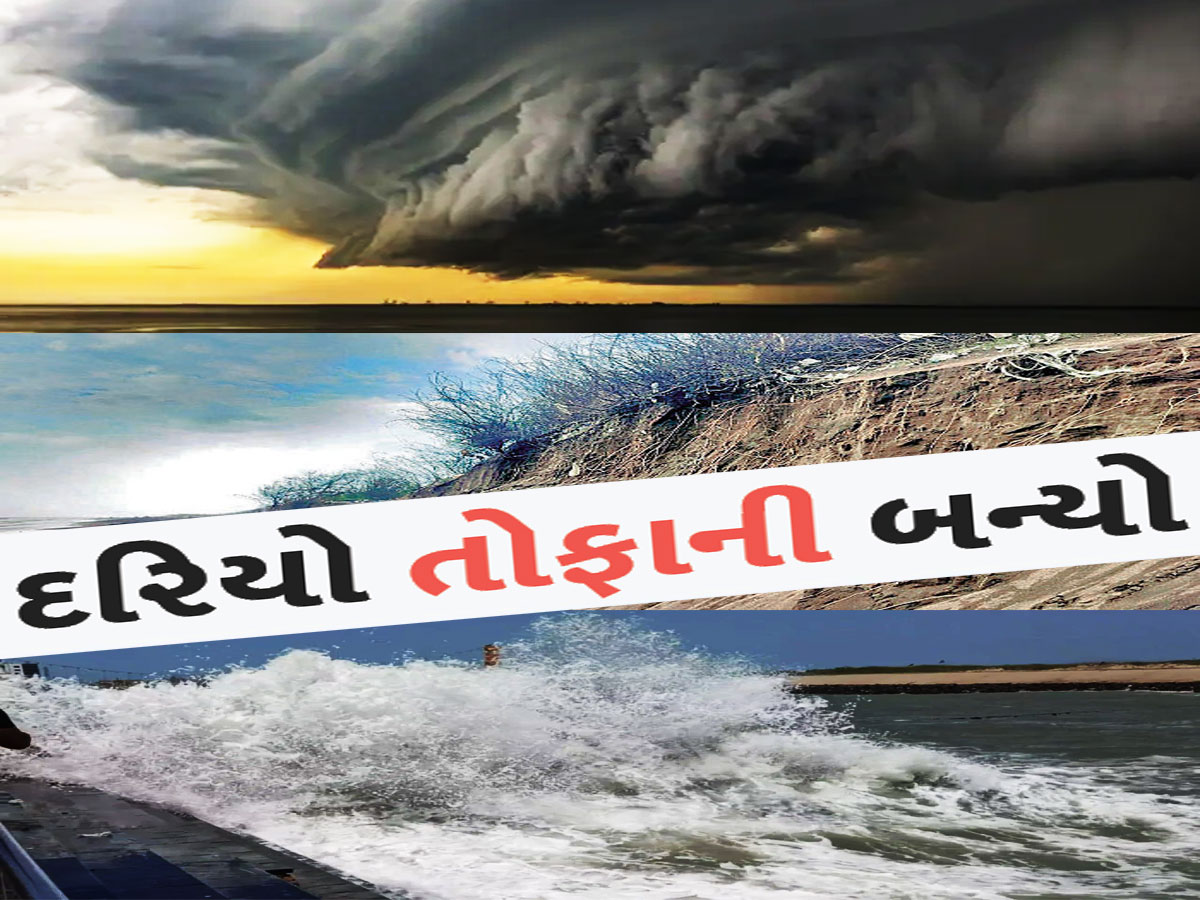ગુજરાતમાં 7 દિવસ સાર્વત્રિક વરસાદની સંભાવના, જો આવું થશે તો બધા જિલ્લા થઈ જશે તરબોળ ગુજરાતમાં 7 દિવસ સાર્વત્રિક વરસાદની સંભાવના, જો આવું થશે તો બધા જિલ્લા થઈ જશે તરબોળ