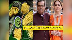 કદી જિંદગીમાં પણ સાંભળી નહીં હોય એવા ગુજરાતી નાસ્તાના શોખીન છે મુકેશ અંબાણી! શું તમે
