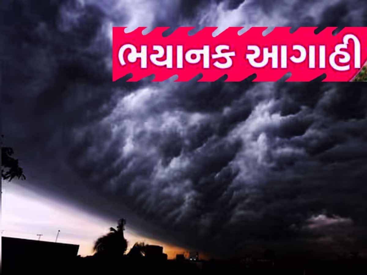ગુજરાતમાં છોતરા કાઢી નાંખશે વરસાદ, આ બે સિસ્ટમ સક્રિય થતાં આ જિલ્લાઓમાં થશે તહસનહસ! ગુજરાતમાં છોતરા કાઢી નાંખશે વરસાદ, આ બે સિસ્ટમ સક્રિય થતાં આ જિલ્લાઓમાં થશે તહસનહસ!