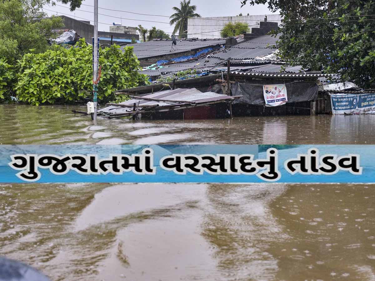 ગુજરાતમાં મેઘરાજાની ધૂંઆધાર બેટિંગ; 7 ઇંચ વરસાદમાં વાપી ડૂબ્યું! બીલીમોરામાં પૂર જેવી સ્થિતિ ગુજરાતમાં મેઘરાજાની ધૂંઆધાર બેટિંગ; 7 ઇંચ વરસાદમાં વાપી ડૂબ્યું! બીલીમોરામાં પૂર જેવી સ્થિતિ