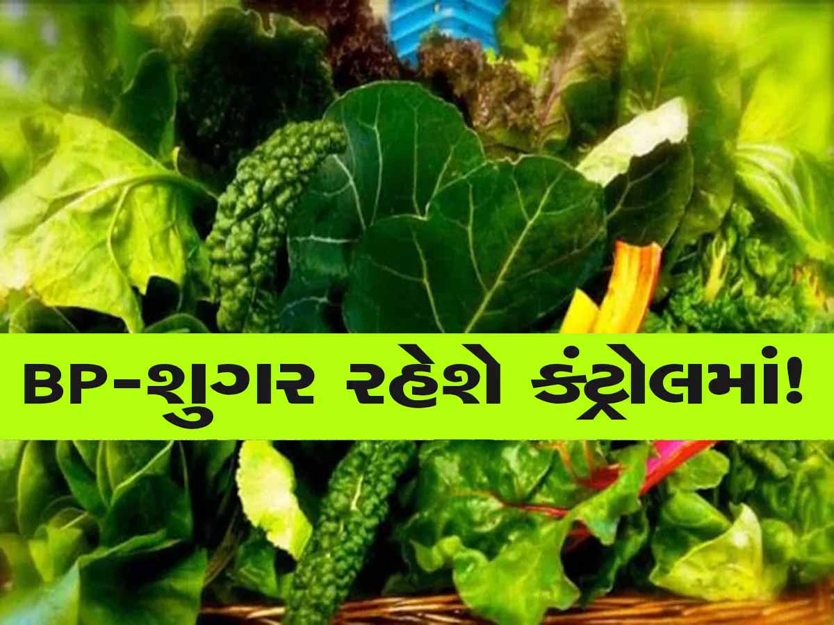 દવાઓનો ખર્ચ બચાવશે આ 5 ફૂડ્સ, ડાયાબિટીસ-બીપીને એક ઝાટકે લાવશે કંટ્રોલમાં! વજન પણ ઘટશે દવાઓનો ખર્ચ બચાવશે આ 5 ફૂડ્સ, ડાયાબિટીસ-બીપીને એક ઝાટકે લાવશે કંટ્રોલમાં! વજન પણ ઘટશે