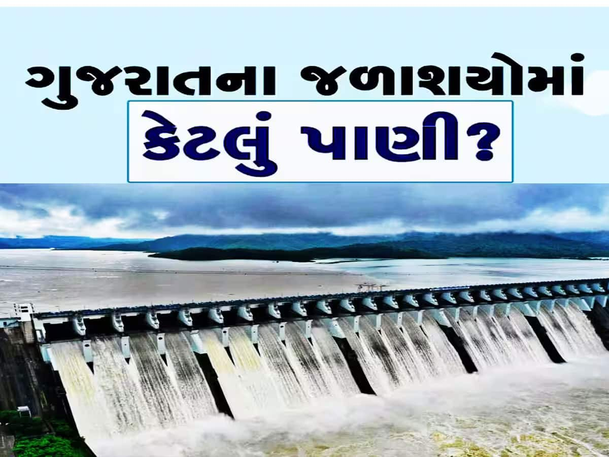 Rainfall: અનરાધાર વરસાદથી ગુજરાતના 47 જળાશયો છલકાયા, હાઈ એલર્ટ જાહેર