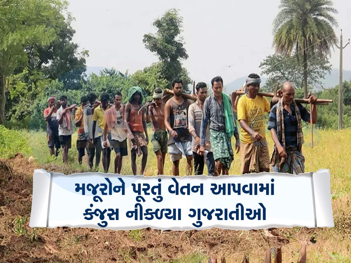 કંજૂસ ગુજરાતીઓ! સુખી સંપન્ન રાજ્ય હોવા છતાં મનરેગાના મજૂરોને ચૂકવાય છે ઓછો પગાર