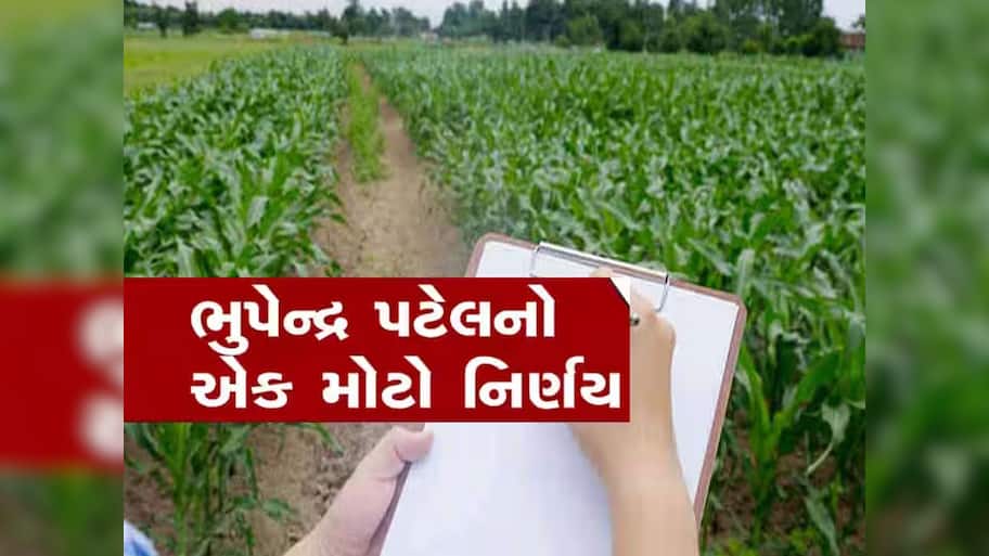 વનની રક્ષા કરતા વનબંધુઓ મળ્યો તેમનો હક, બન્યા જમીનોના માલિક