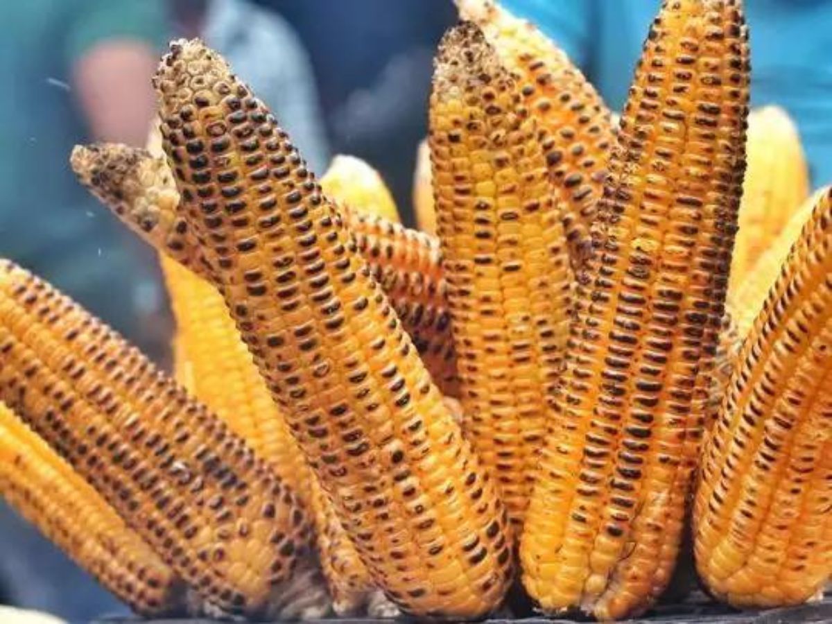 પાચન સુધારવા