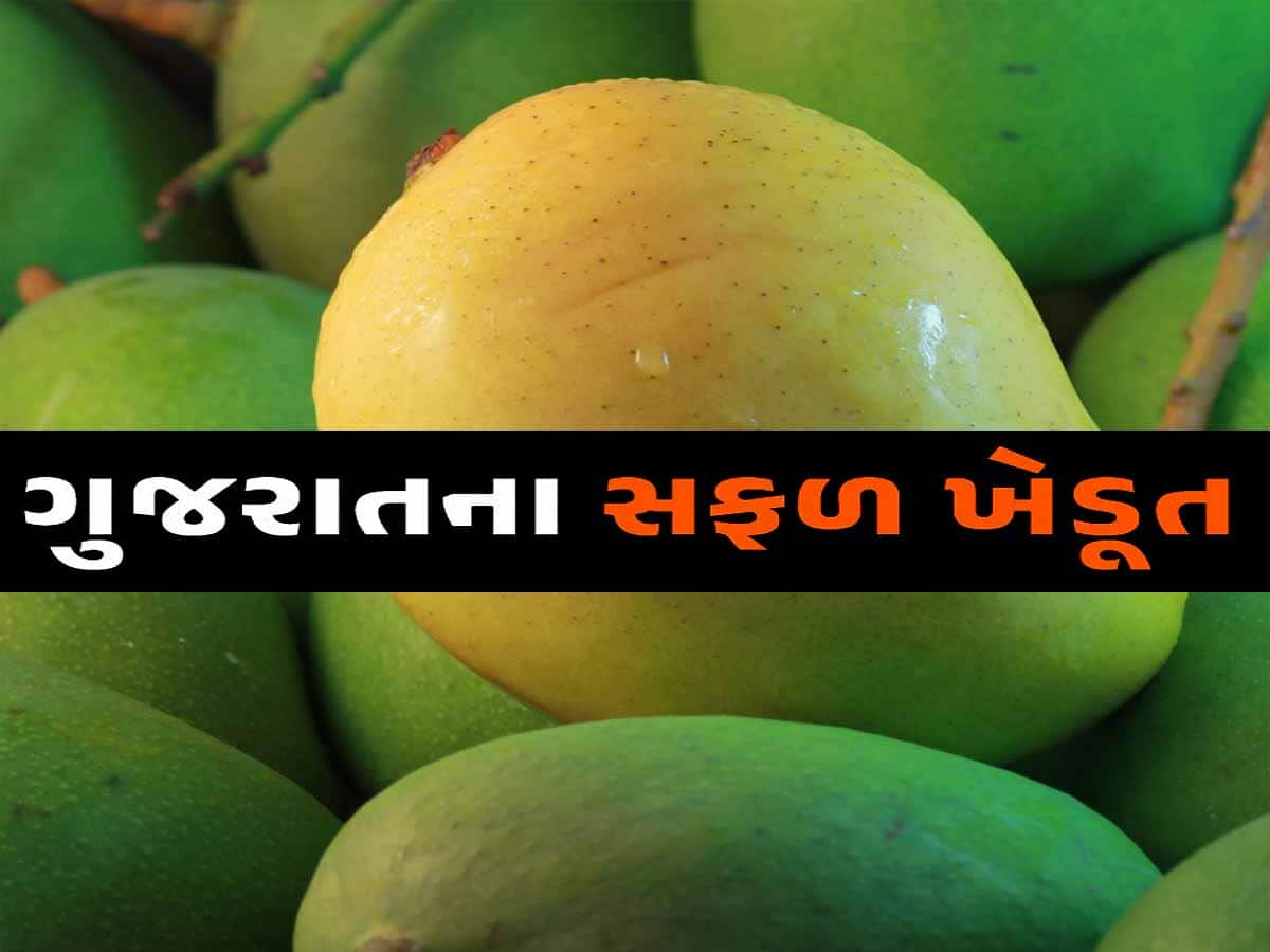 હવે સિઝન પુરી થશે તો પણ ગુજરાતમાં ખાવા મળશે કેરી! આ પ્રગતિશીલ ખેડૂતે વિકસાવી અનોખી જાત