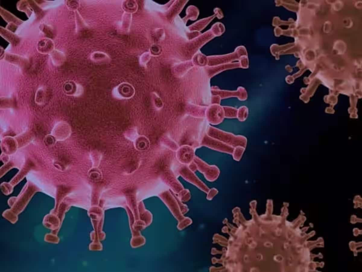 Dangerous viruses: ખતરનાક વાયરસ દુનિયામાં લાવી શકે છે કોરોનાથી ભયંકર મહામારી, તેની કોઈ રસી કે સારવાર નથી!