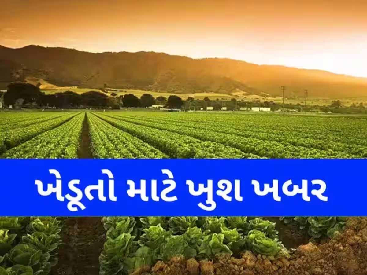 ગુજરાતના ખેડૂતો માટે ખુશખબર! એક બોરી યુરિયા એક બોટલમાં, આ વર્ષે ખરીદશો તો મળશે સહાય