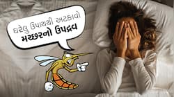 આ ઘરગથ્થુ ઉપાયથી મચ્છરનું મિટાવો નામોનિશાન, રાત્રે માણી શકશો મીઠી ઊંઘ