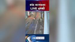 વડોદરામાં વીજ થાંભલો લગાવતાં બે કર્મીઓને લાગ્યો વીજ કરંટ, જુઓ ઘટનાના Live CCTV