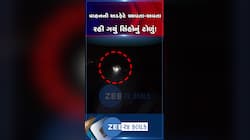 ભાવનગર-સોમનાથ હાઈવે પર સિંહોનું ટોળું વાહનની અડફેટે આવતા-આવતા રહી ગયું.....