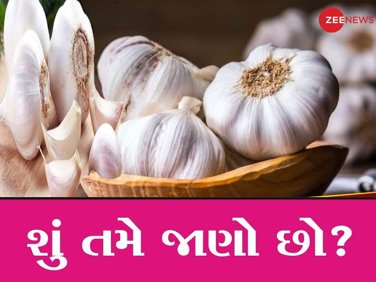 લસણ મસાલો છે કે શાકભાજી, તમે શું માનો છો? મામલો કોર્ટમાં પહોંચ્યો, આવી ગયો ફેંસલો