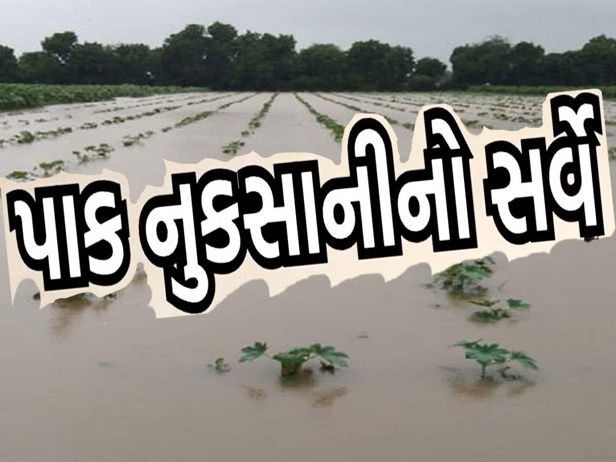 ગુજરાતના કયા વિસ્તારોમાં પુરો થયો પાક નુકસાની સરવે? કયા જિલ્લાઓના ખેડૂતોને સરકાર આપશે પૈસા?