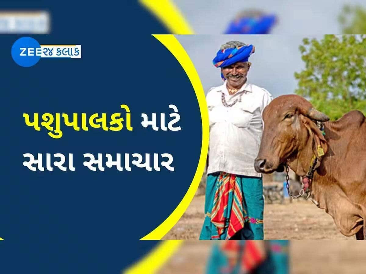 બનાસકાંઠાના પશુપાલકોને રક્ષાબંધન ફળી! બનાસ ડેરીએ ભાવ વધારા સાથે જાહેર કર્યો ચોખ્ખો નફો 