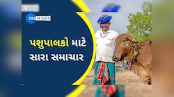 પશુપાલકોને રક્ષાબંધન ફળી! બનાસ ડેરીએ ભાવ વધારા સાથે જાહેર કર્યો ચોખ્ખો નફો