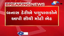 બનાસ ડેરીએ પશુપાલકોને આપી સૌથી મોટી ભેટ, દૂધમાં કિલો ફેટે ભાવ વધારો 989 રુપિયા આપવાનો નિર્ણય...