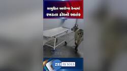 છત્તીસગઢના બેમેતરાના સામુહિક આરોગ્ય કેન્દ્રમાં રખડતા ઢોરોએ મચાવ્યો આતંક