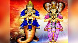 ઘરમાં આ સ્થાન પર રહે છે રાહુ, એક નાની ભૂલ અને... જિંદગી રમણભમણ!