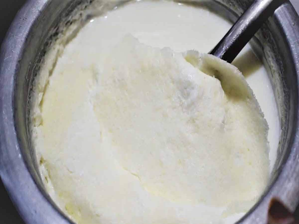 Thick Malai: આ ટીપ્સ ફોલો કરશો તો રોજ દૂધ પર જામશે જાડી મલાઈ, ઘી પણ થાશે વધારે