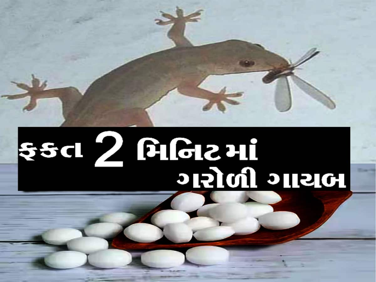 આ 7 વસ્તુઓ જોઈને ઉભી પૂંછડીએ ભાગે છે ગરોળી! સૌથી ડેન્ઝર છે નેપ્થાલિન બોલ