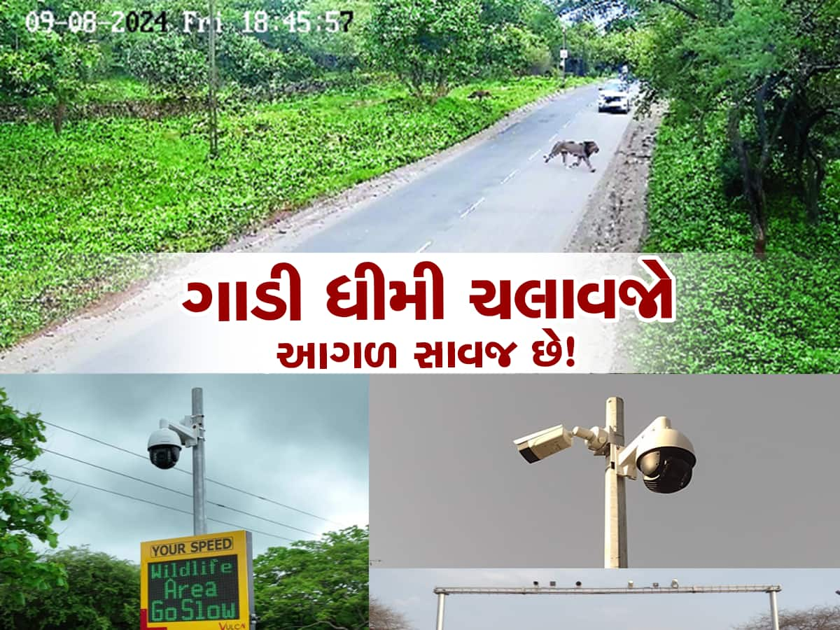 ગુજરાતના આ રસ્તા પર ધીમી ચલાવજો ગાડી! સ્પીડ વધી તો જેલમાં જવાનો વારો આવશે 