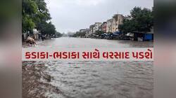 વાપીમાં બારે મેઘ ખાંગા! 36 કલાકમાં 15 ઇંચથી વધુ વરસાદ, જોઈ લો તબાહીના દ્રશ્યો