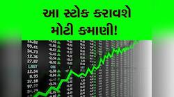 આ શેર ભરી દેશે તમારો ખજાનો, 1 વર્ષમાં કરાવશે જોરદાર કમાણી,  બ્રોકરેજે કહ્યું- ખરીદો