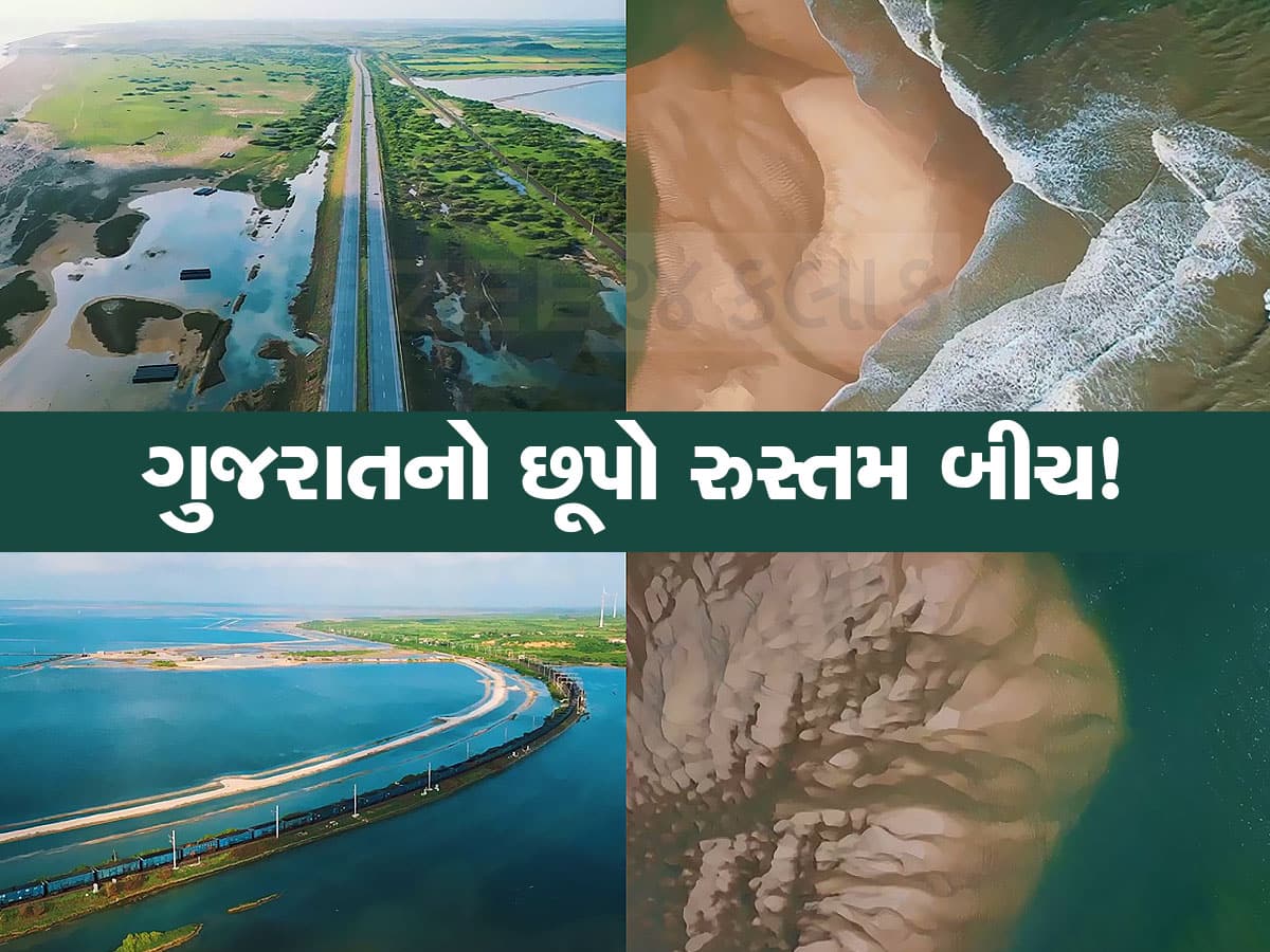 Gujarat Beaches: ફરવાના શોખીનોને પણ ભાગ્યે જ ખબર હશે ગુજરાતના આ બીચ વિશે, આ Video જોઈને તરત બનાવશો પ્રોગ્રામ