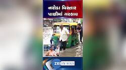 અમદાવાદના નરોડાનો ગોપાલ ચોક વિસ્તાર પાણીમાં ગરકાવ, છેલ્લા 15 વર્ષથી પાણી ભરાવવાની સમસ્યાથી ત્રસ્ત શહેરીજનો....