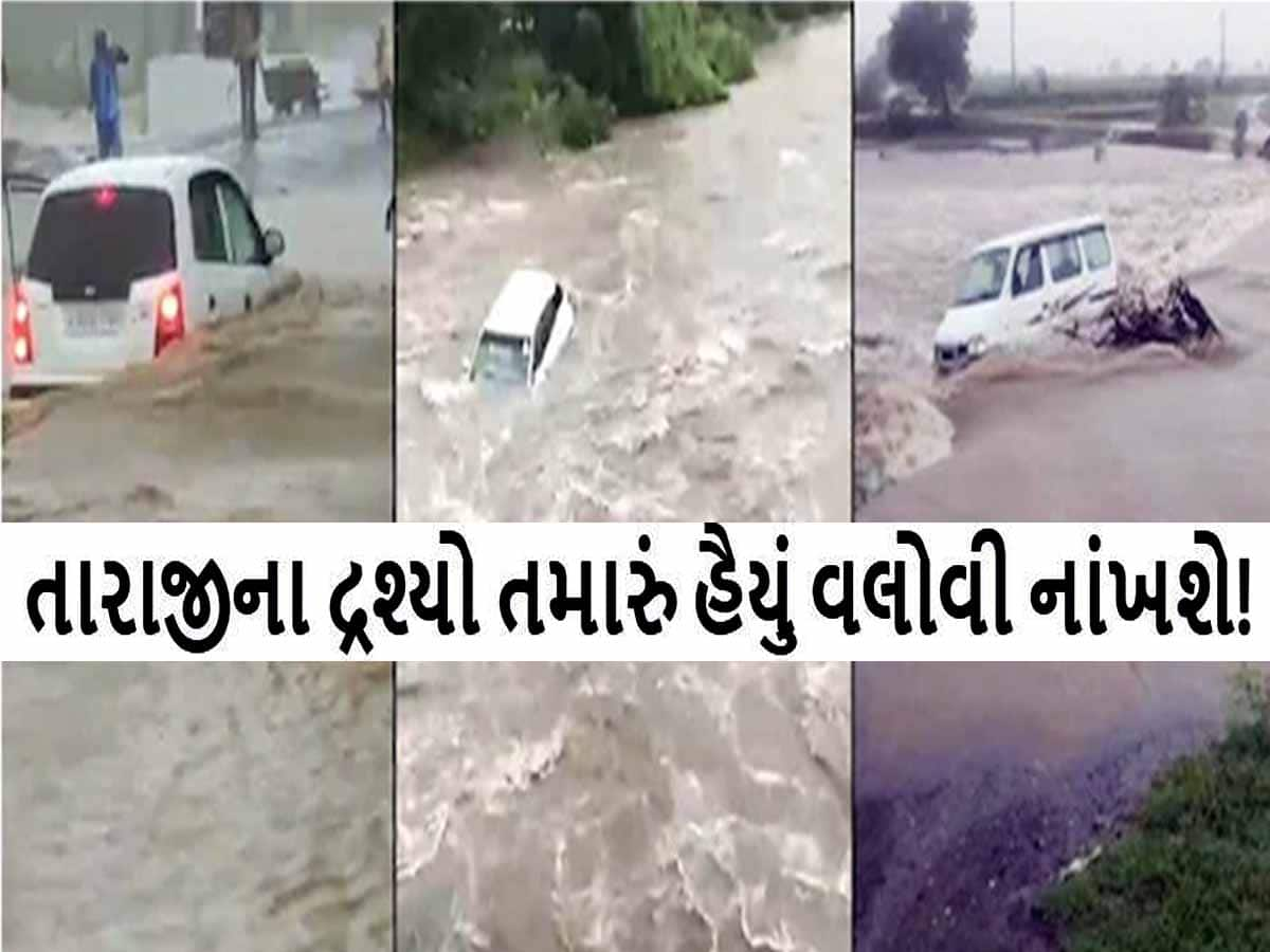 ગુજરાતમાં કુદરત કોપાયમાન! રમકડાંની માફક વહી ગઈ કાર, જાણો વરસાદે ક્યાં કેવો વિનાશ વેર્યો? 