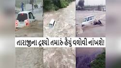 ગુજરાતમાં કુદરત કોપાયમાન! રમકડાંની માફક વહી કાર, જાણો વરસાદે ક્યાં કેવો વિનાશ વેર્યો