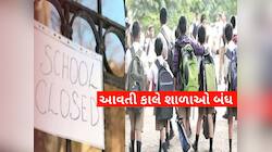 અમદાવાદ સહિત આ જિલ્લાઓની શાળા-કોલેજોમાં કાલે રજા જાહેર કરાઈ, લેવાયો મોટો નિર્ણય
