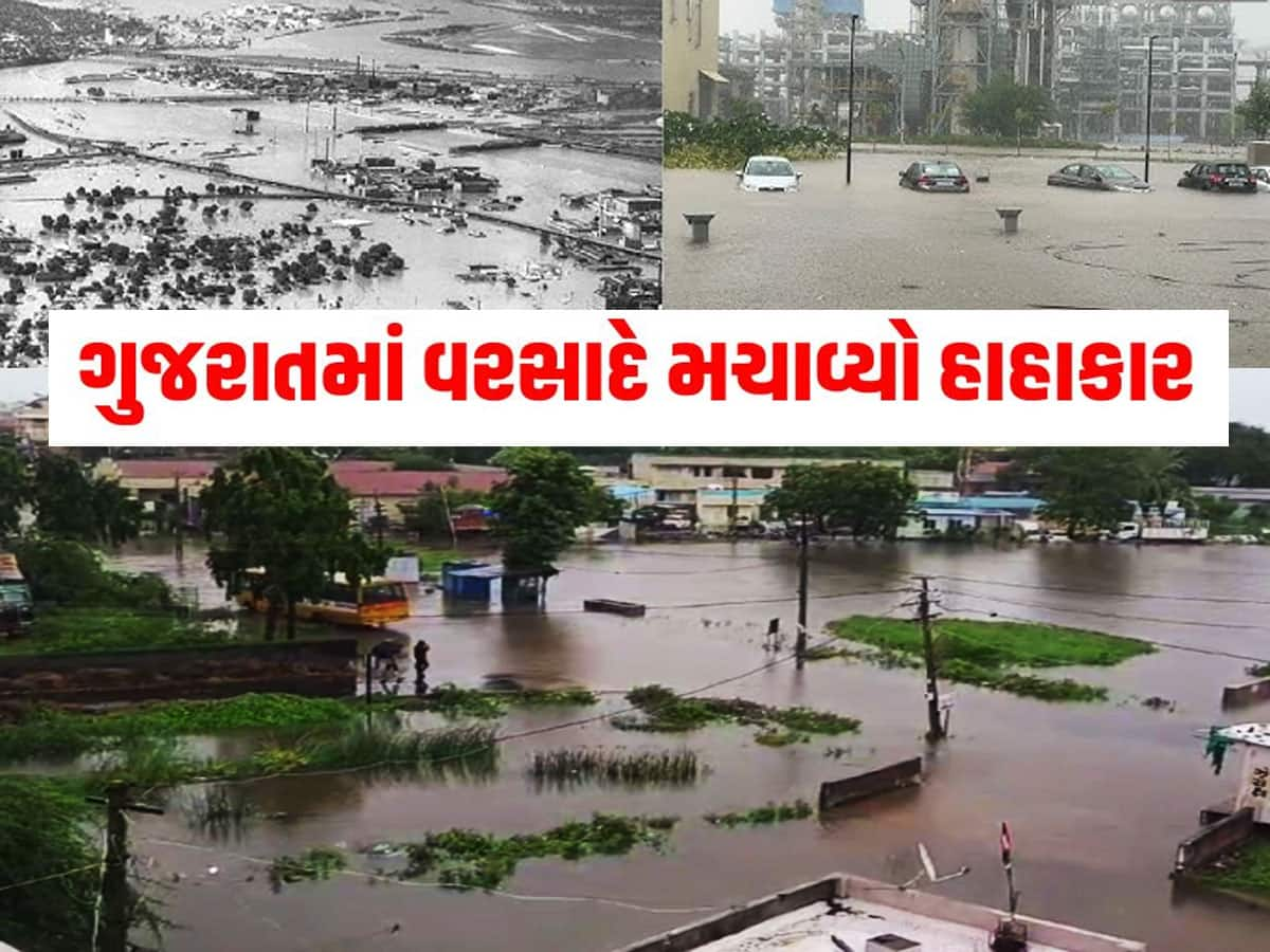 ભારે વરસાદથી ગુજરાતના આ જિલ્લામાં રેલવે ટ્રેકનું ધોવણ! બચાવ કામગીરી માટે ટુકડીઓ તહેનાત