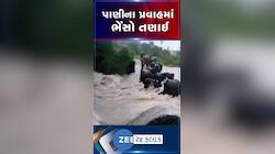 પોરબંદર: કુતિયાણાના રામનગરમાં પાણીના ધસમસતા પ્રવાહ વચ્ચે ભેંસો તણાઈ
