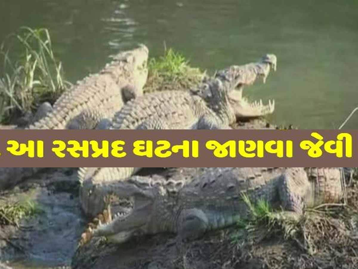 એશિયાનું એક માત્ર એવું શહેર જેને કહેવાય છે મગરોની નગરી! પણ શું તમે આ ઈતિહાસ જાણો છો?