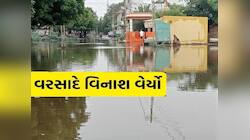 મચ્છુએ ફરી મોરબીમાં મોટી તારાજી સર્જી! આ તાલુકાના એક-બે નહીં 30 ગામનો વાળ્યો સત્યનાશ