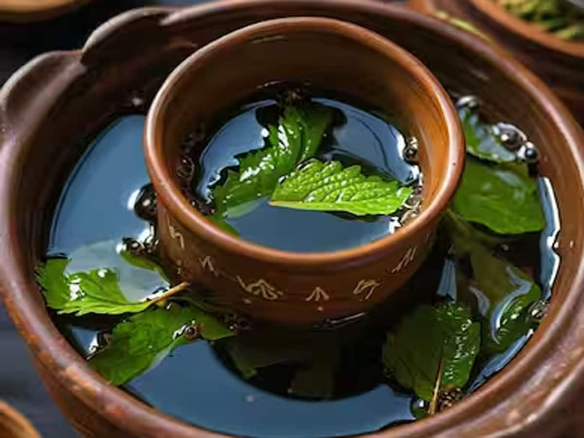 Tulsi water: ખાલી પેટ તુલસીના પાનનું પાણી પીવાથી આ રોગ દવા વિના હંમેશ માટે થઈ જશે દૂર 