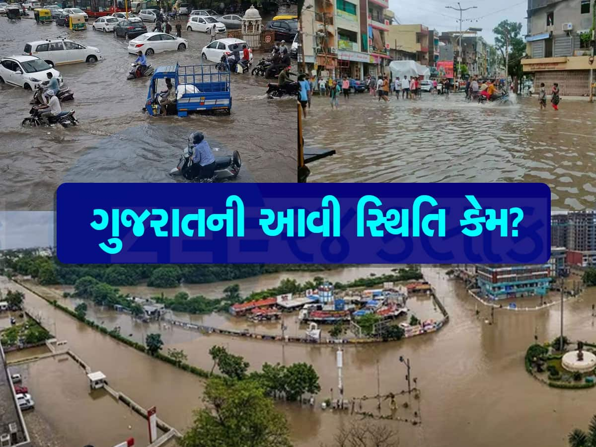 IIT ગાંધીનગરના રિસર્ચમાં ખુલાસો: ગુજરાતમાં ભારે વરસાદ બાદ આવેલા પૂરે આટલી તબાહી કેમ મચાવી? વડોદરા વિશે તો ચોંકાવનારી વાત