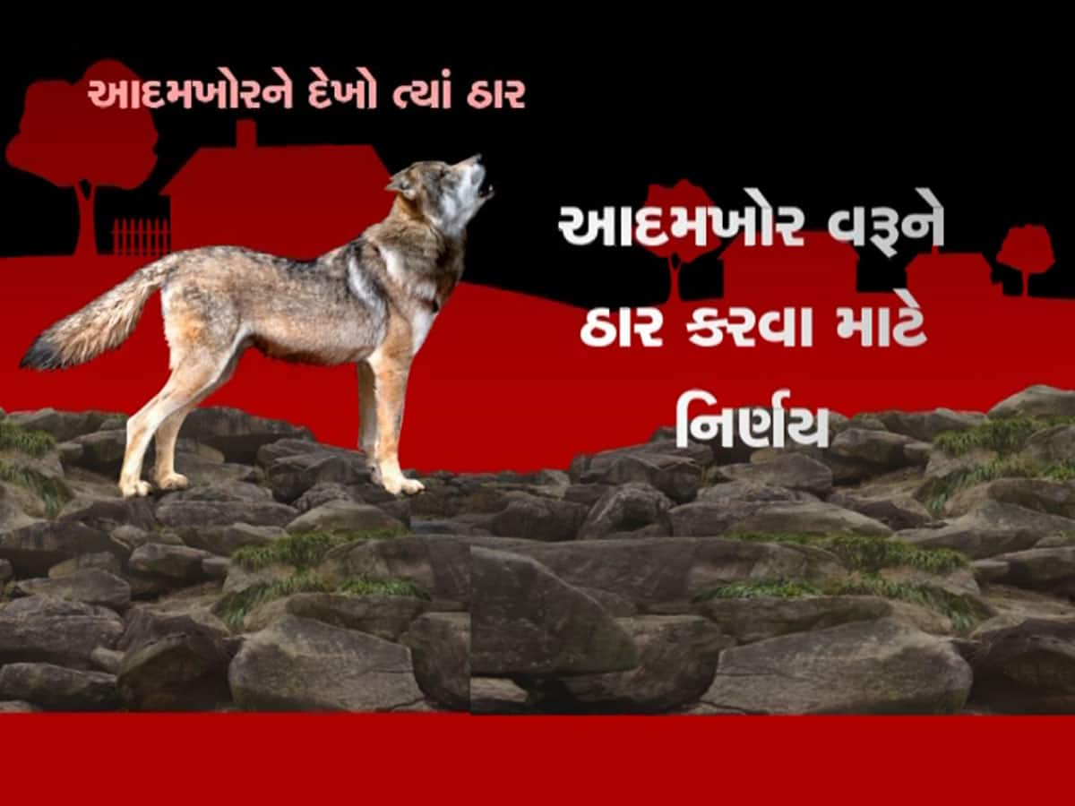 માનવભક્ષી વરૂઓના આતંક પર યોગી સરકારે લીધો મોટો નિર્ણય, બનાવાયો માસ્ટર પ્લાન 