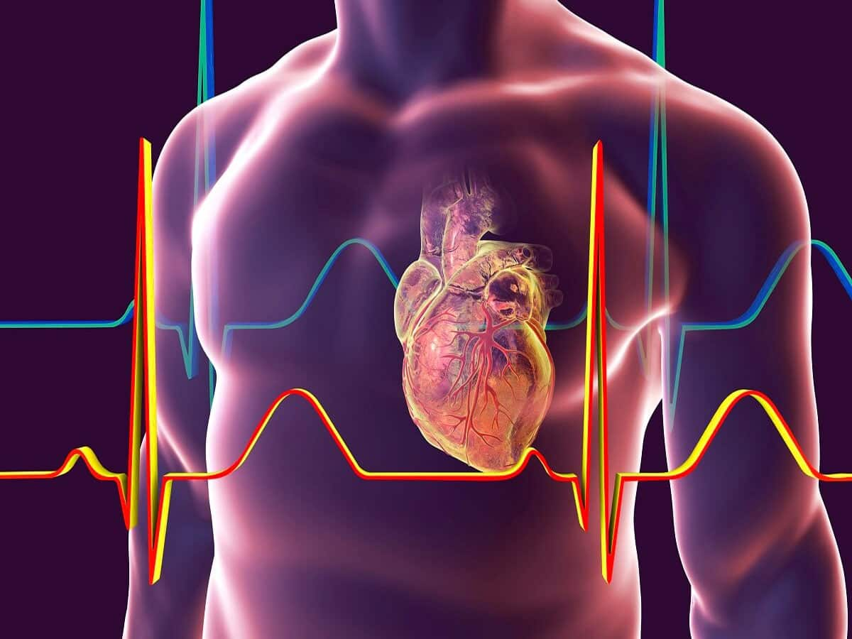 Heart Attack: રાત્રે દેખાય છે હાર્ટ એટેકના આ 4 લક્ષણો, આ તકલીફોને ઈગ્નોર કરવાની ભૂલ ન કરતા ક્યારેય