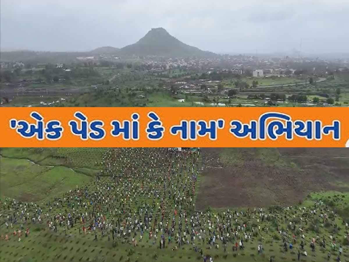 કૃદરતના પ્રકોપથી શાન ઠેકાણે! હરીયાળું ગુજરાત બનાવવા 17 કરોડ વૃક્ષોનો ટાર્ગેટ મૂકાયો! 