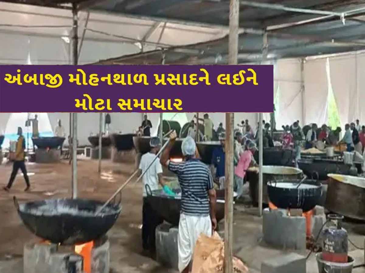 પહોંચો ભાદરવી મેળે...ઉકળી રહ્યો છે ત્રણ લાખ કિલોનો મોહનથાળ, જાણો શું છે પ્રસાદની ખાસિયત?