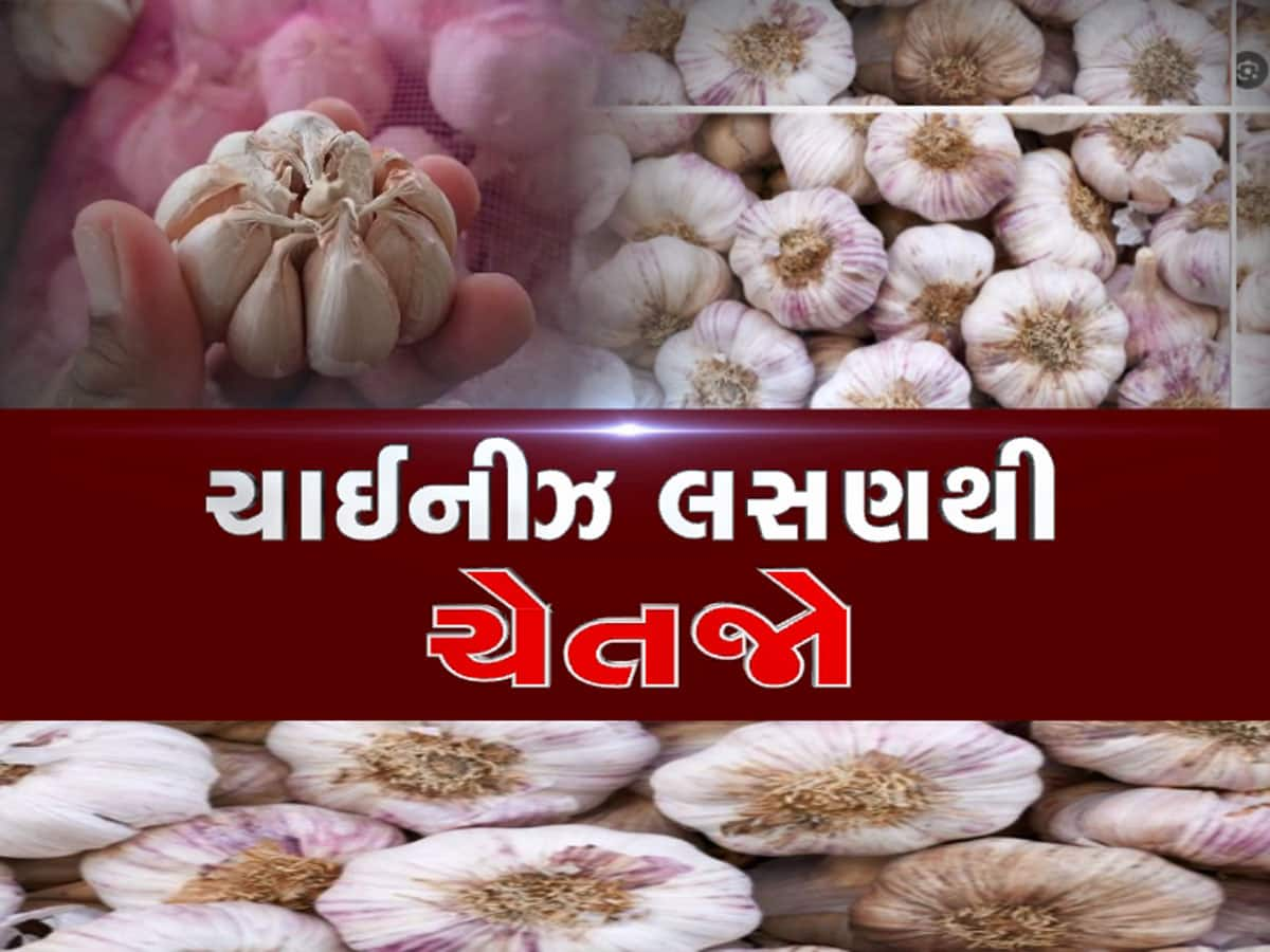 આ રીતે ચેક કરો નકલી ચાઈનીઝ લસણ, ફોતરા ઉખાડશો તો દૂધનું દૂધ પાણીનું પાણી થઈ જશે