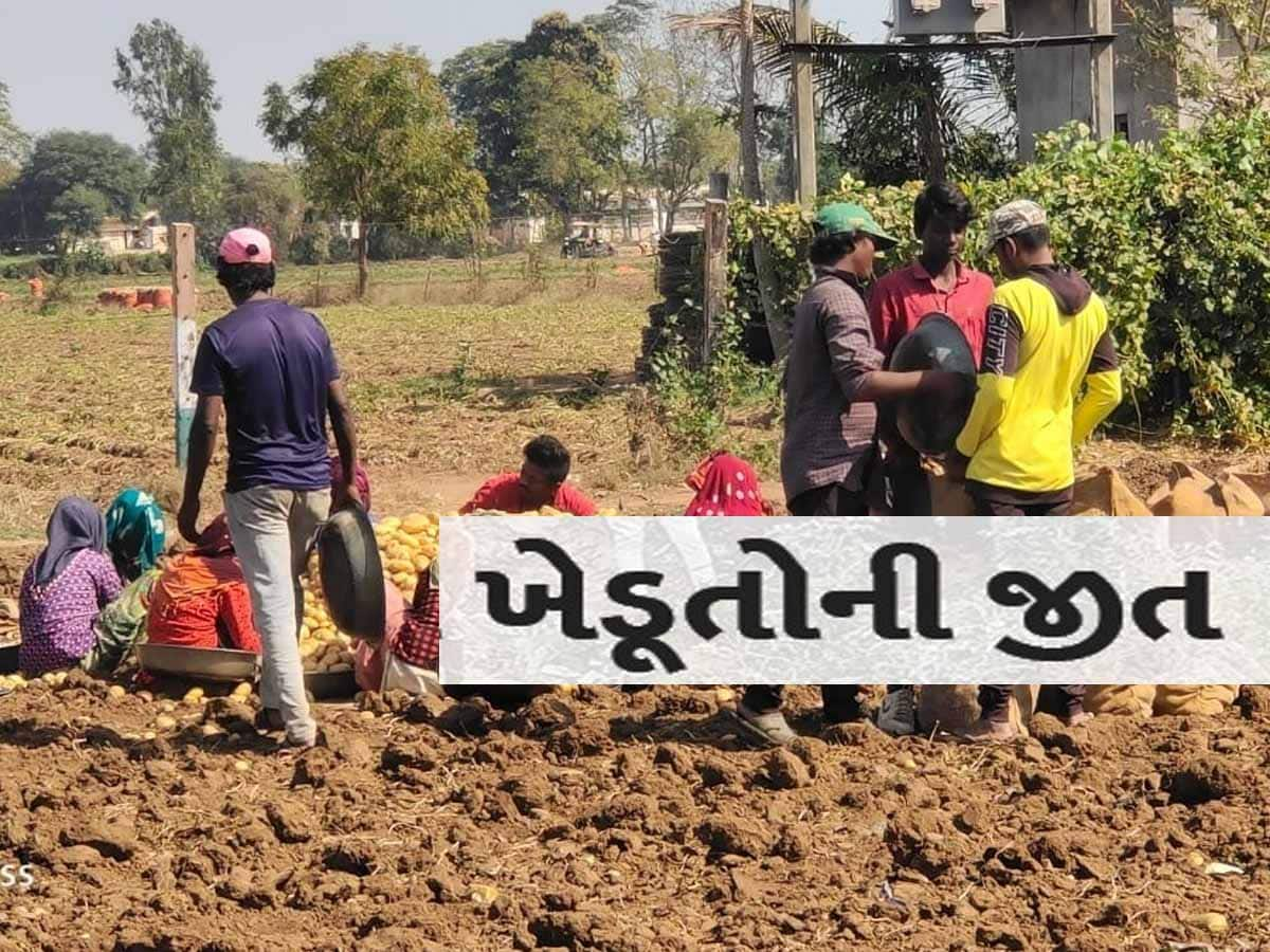 ‘ઝૂકતી હે દુનિયા ઝુકાને વાલા ચાહિયે’, ગુજરાતના ખેડૂતોનો ગુસ્સો જોઈ આ કંપની ઝૂકી પડી, તમામ શરતો મંજૂર