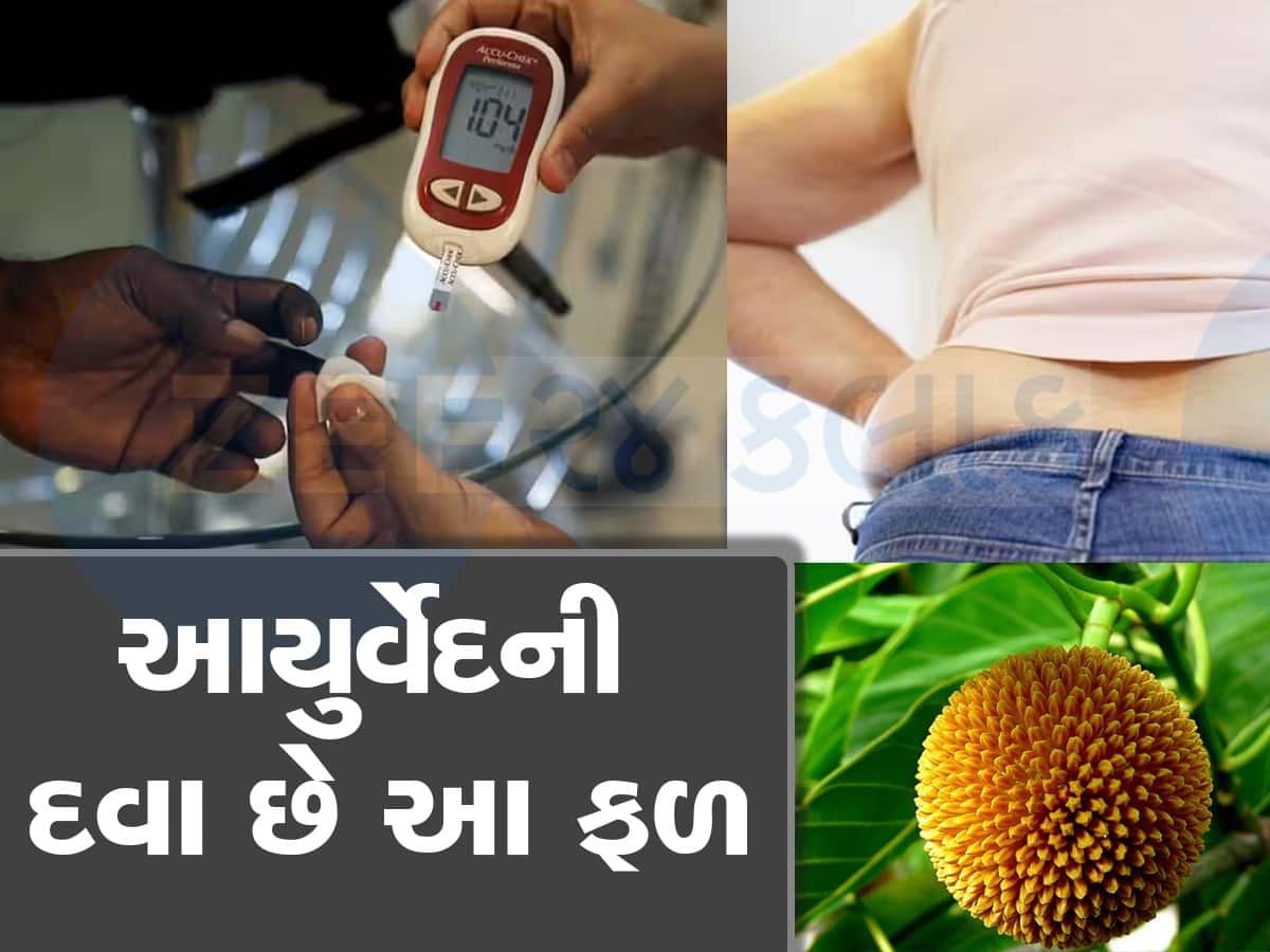 મોટાપા સાથે થઈ ગઈ છે ડાયાબિટીસ તો ડાયટમાં સામેલ કરો આ 1 ફળ, ખાવાની સાથે કંટ્રોલ થી જશે વજન અને સુગર